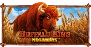 ภาพเกม Buffalo King Megaways ที่ podk888 รวบรวมไว้